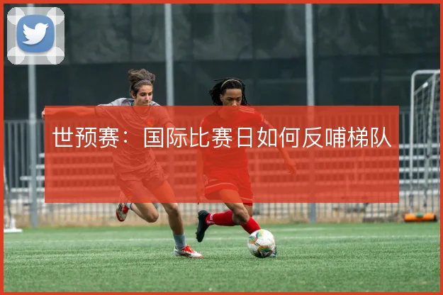 世预赛：国际比赛日如何反哺梯队