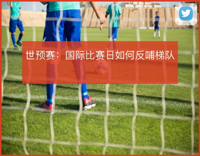 世预赛：国际比赛日如何反哺梯队