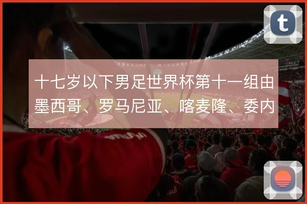 十七岁以下男足世界杯第十一组由墨西哥、罗马尼亚、喀麦隆、委内瑞拉组成