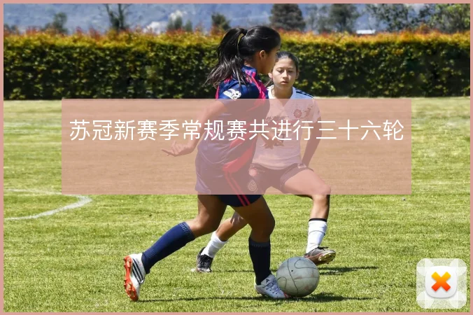 苏冠新赛季常规赛共进行三十六轮