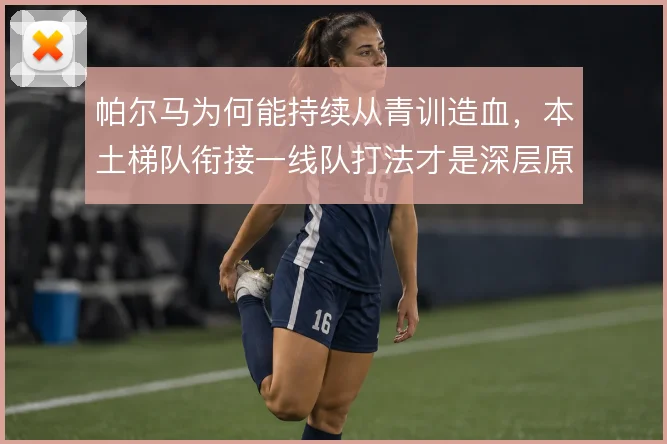 帕尔马为何能持续从青训造血,本土梯队衔接一线队打法才是深层原因